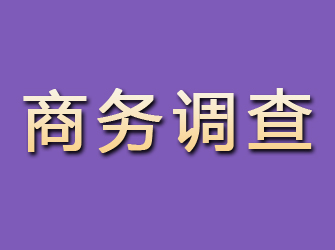 通渭商务调查